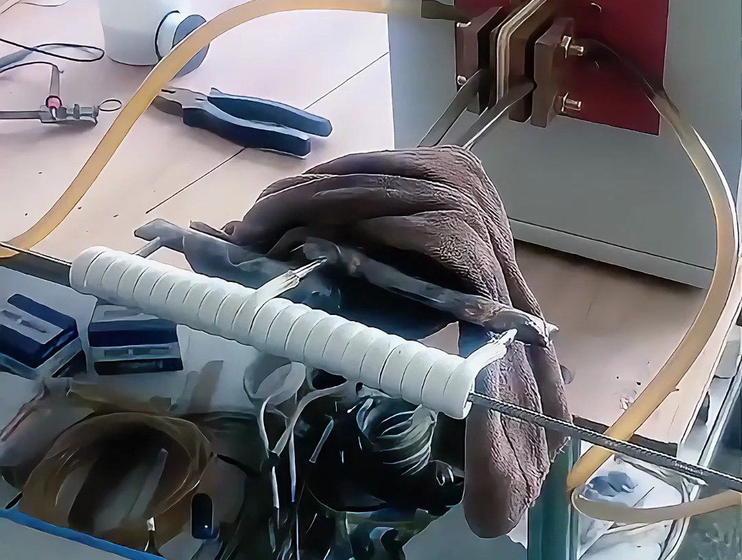 海拓超高頻加熱機(jī)：不銹鋼絲在線退火的高效解決方案，賦能多領(lǐng)域線材加工